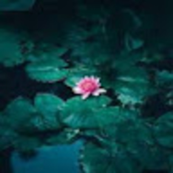 Meet your Posher, Amanda - Picture 2 of 2